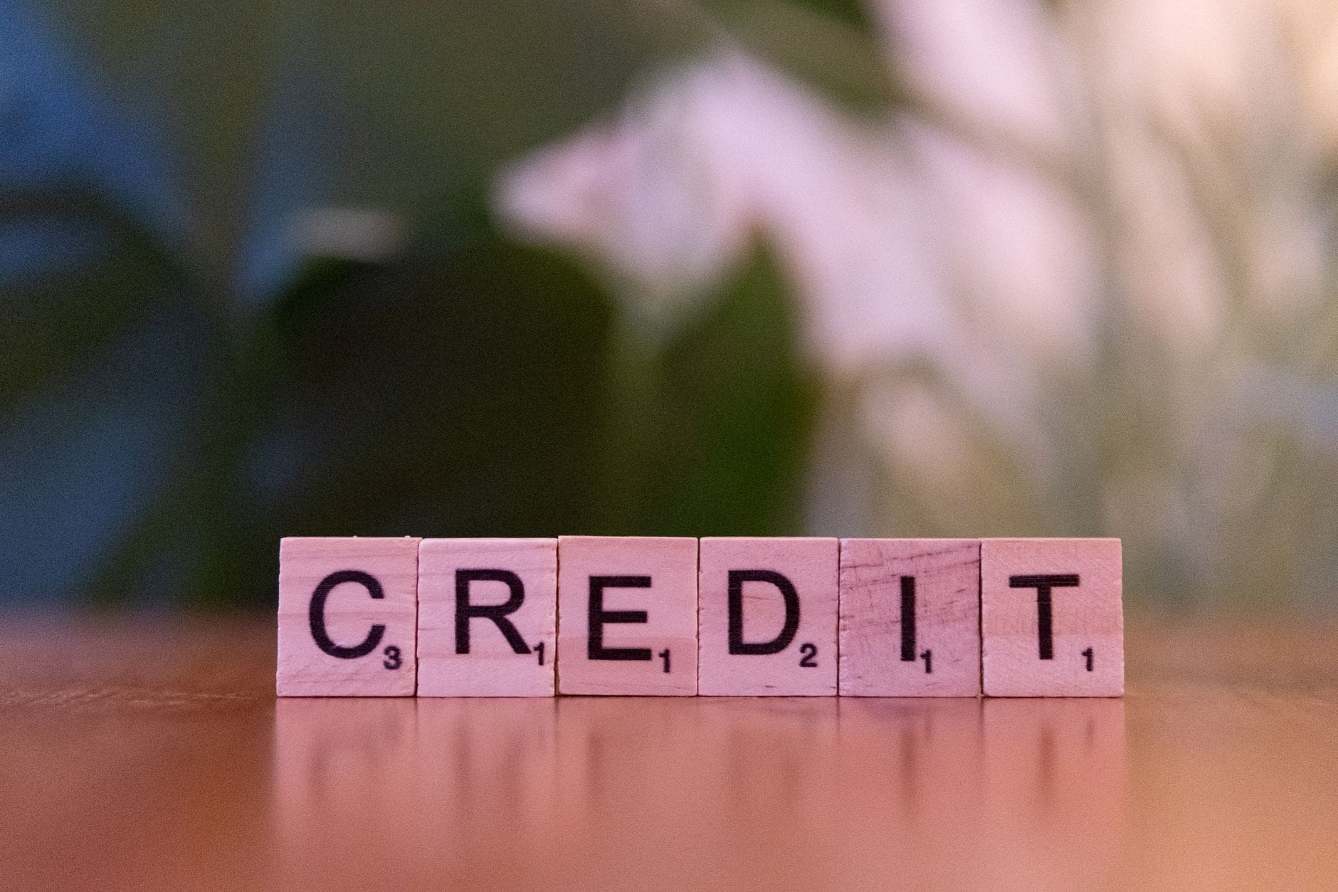 Drewniane klocki z napisem credit na tle zielonych liści